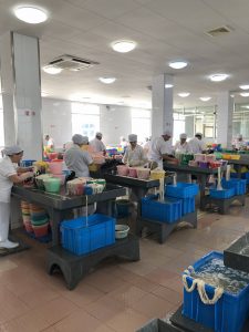 production of natural casing